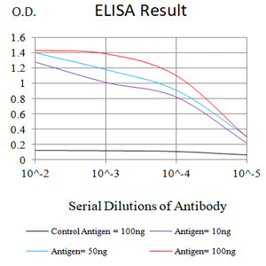 Mouse Monoclonal Antibody to CD40
