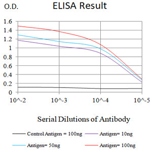 Mouse Monoclonal Antibody to CXCL16