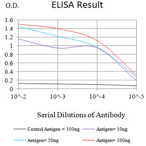 Mouse Monoclonal Antibody to C-MYC