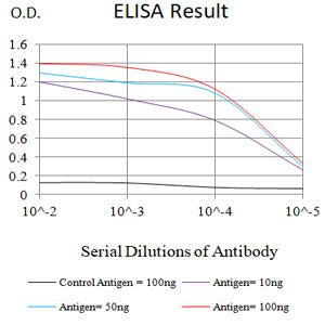 Mouse Monoclonal Antibody to TUBA4A