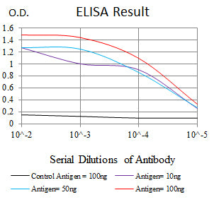 Mouse Monoclonal Antibody to ERCC1