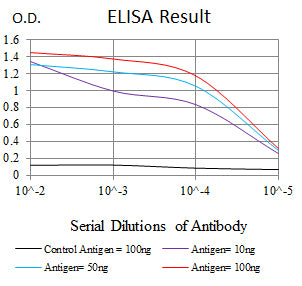 Mouse Monoclonal Antibody to KRT10