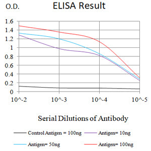 Mouse Monoclonal Antibody to G6D