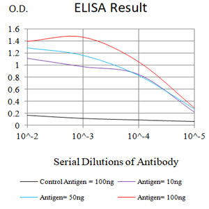Mouse Monoclonal Antibody to NEFL