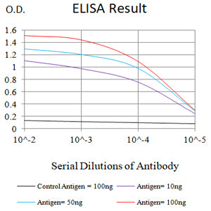 Mouse Monoclonal Antibody to CD32B