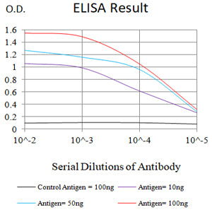Mouse Monoclonal Antibody to CD47