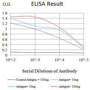 Mouse Monoclonal Antibody to KCNK1