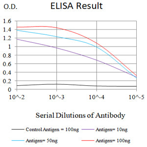 Mouse Monoclonal Antibody to CCR10
