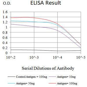 Mouse Monoclonal Antibody to CD62E