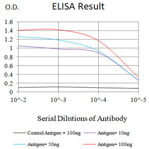 Mouse Monoclonal Antibody to CX3CR1
