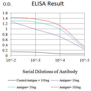 Mouse Monoclonal Antibody to MR1