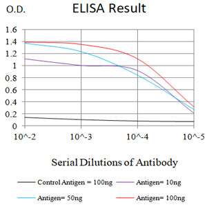 Mouse Monoclonal Antibody to IGF1R