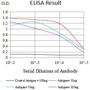 Mouse Monoclonal Antibody to MICB