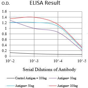 Mouse Monoclonal Antibody to CD121B