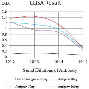Mouse Monoclonal Antibody to CD121B