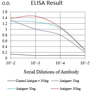 Mouse Monoclonal Antibody to ERCC1