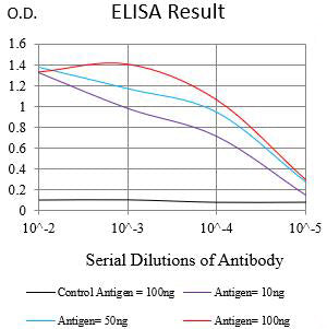 Mouse Monoclonal Antibody to HDAC1