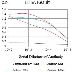 Mouse Monoclonal Antibody to KRT15