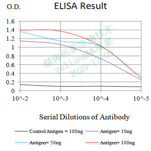Mouse Monoclonal Antibody to CD10