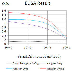 Mouse Monoclonal Antibody to MSH2