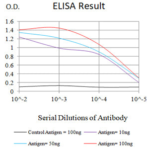 Mouse Monoclonal Antibody to MERTK