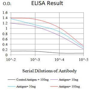 Mouse Monoclonal Antibody to ARG1