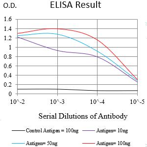 Mouse Monoclonal Antibody to NUP98