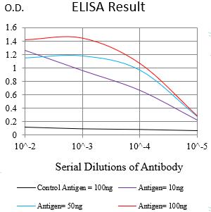 Mouse Monoclonal Antibody to NUP98