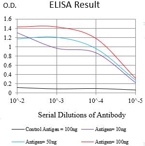 Mouse Monoclonal Antibody to SIGLEC8
