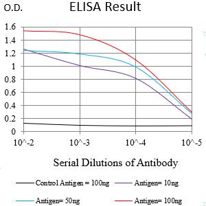 Mouse Monoclonal Antibody to TIMD4