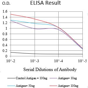 Mouse Monoclonal Antibody to TIMD4