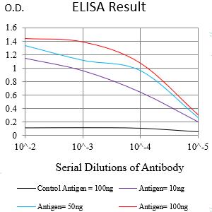 Mouse Monoclonal Antibody to CD281