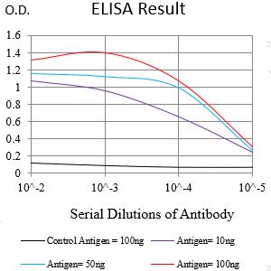 Mouse Monoclonal Antibody to CD317
