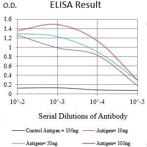 Mouse Monoclonal Antibody to CDKN1A
