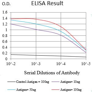 Mouse Monoclonal Antibody to HDAC1