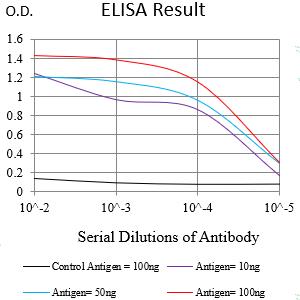 Mouse Monoclonal Antibody to KRT2