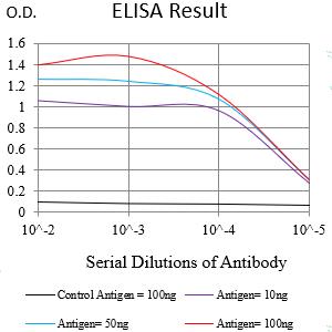 Mouse Monoclonal Antibody to KRT2
