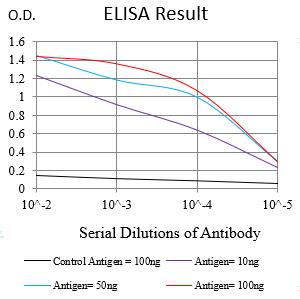 Mouse Monoclonal Antibody to KRT10
