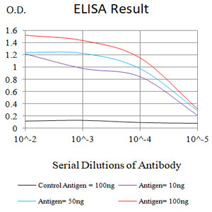 Mouse Monoclonal Antibody to IKZF1