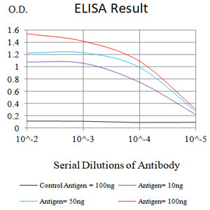 Mouse Monoclonal Antibody to IKZF1
