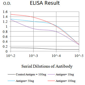 Mouse Monoclonal Antibody to GPR56