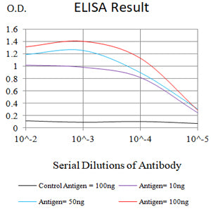 Mouse Monoclonal Antibody to MSH2