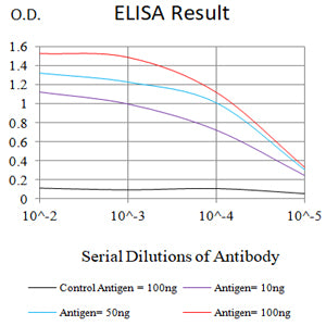 Mouse Monoclonal Antibody to MR1