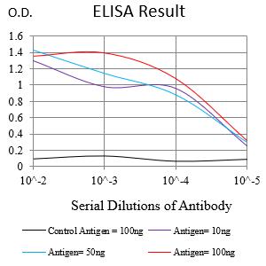 Mouse Monoclonal Antibody to GPR19