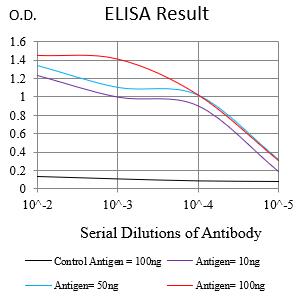 Mouse Monoclonal Antibody to KIT
