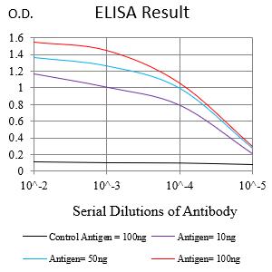 Mouse Monoclonal Antibody to PDLIM7