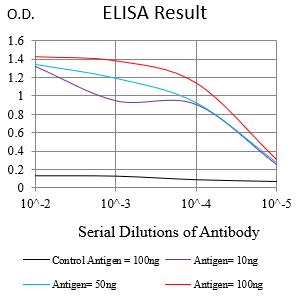 Mouse Monoclonal Antibody to PDLIM7
