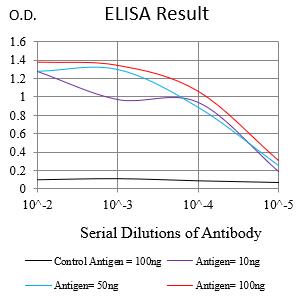 Mouse Monoclonal Antibody to UQCRC1