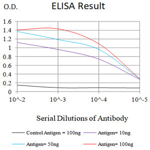 Mouse Monoclonal Antibody to BRAF