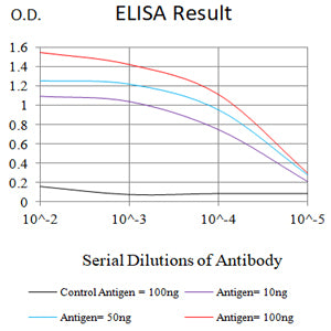 Mouse Monoclonal Antibody to BRAF